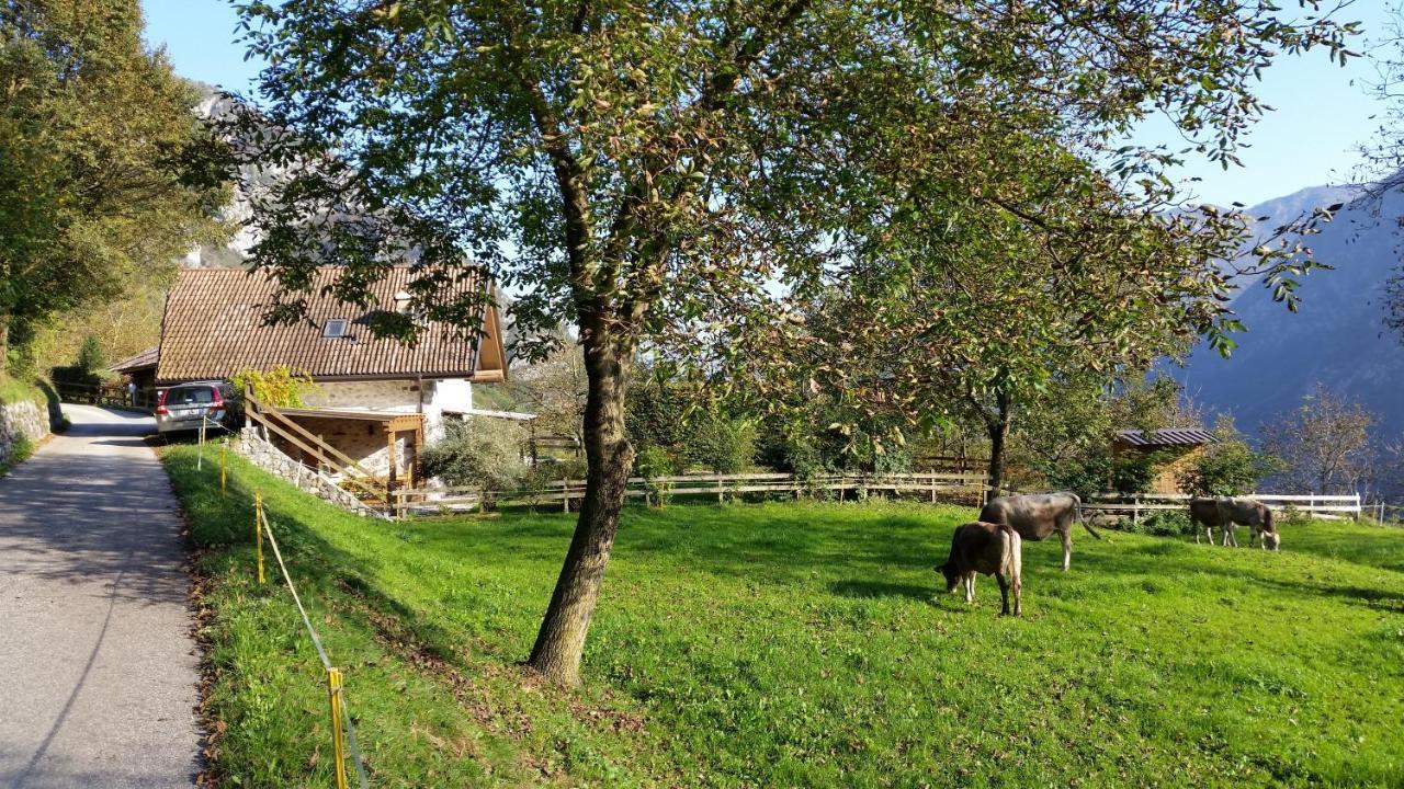 Chalet La Nos Molina di Ledro Oda fotoğraf